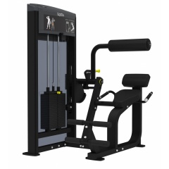 AeroFit IF9332 Разгибание спины из каталога грузоблочных тренажеров в Саратове по цене 309100 ₽