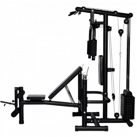 Рендер-11 для DFC HomeGym D854