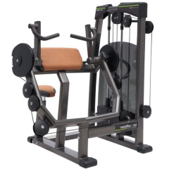 FitWorld FW-8500 Трицепс - фото 1