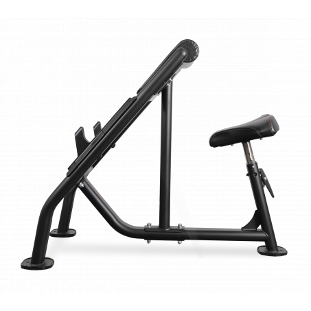 Рендер-1 для Bronze Gym BR-1007