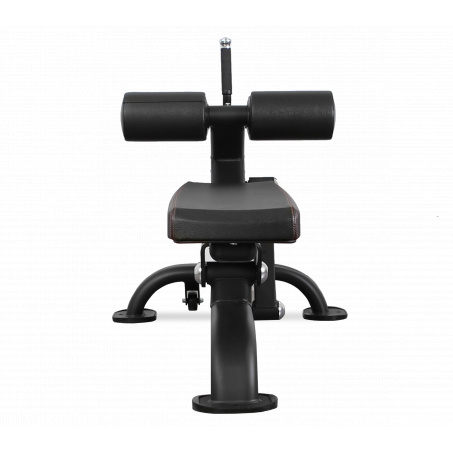 Рендер-1 для Bronze Gym BR-1005