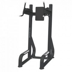 Bronze Gym BR-1016 из каталога тренажеров с собственным весом  в Саратове по цене 73100 ₽