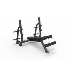 Spirit SP-4211 с отрицательным наклоном из каталога скамей со стойкой в Саратове по цене 212800 ₽