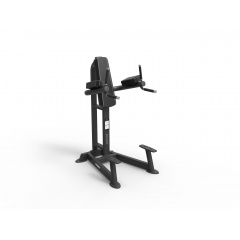 Spirit SP-4215 из каталога тренажеров с собственным весом  в Саратове по цене 128300 ₽