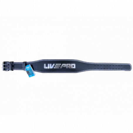 Рендер-1 для LivePro LP8067M