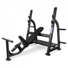 Bronze Gym BR-1014 наклонная из каталога скамей со стойкой в Саратове по цене 120990 ₽
