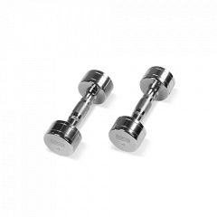 Bronze Gym 4 кг. BG-PA-DB-C04 из каталога хромированных гантелей в Саратове по цене 1360 ₽