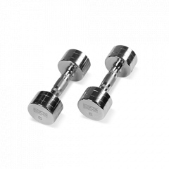 Bronze Gym 6 кг. BG-PA-DB-C06 из каталога хромированных гантелей в Саратове по цене 2040 ₽