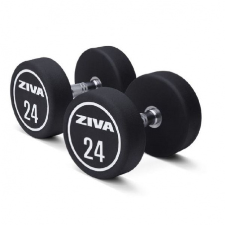 Рендер-0 для Ziva XP Urethane Dumbbell Set (5 pairs) 22-30 kg ZXP-DBPU8605