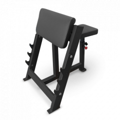 Bronze Gym AL-303 из каталога скамей Скотта в Саратове по цене 49890 ₽