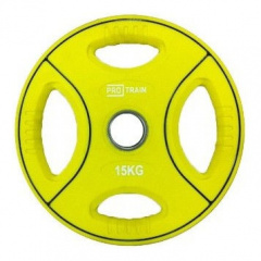 Protrain DB6092-15 (д=50 мм) из каталога дисков для штанги с посадочным диаметром 50 мм. в Саратове по цене 6800 ₽