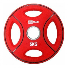 Protrain DB6092-5 (д=50 мм) из каталога дисков для штанги с посадочным диаметром 50 мм. в Саратове по цене 2660 ₽