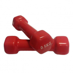 Protrain TA-2103-0,5 (пара) из каталога виниловых гантелей в Саратове по цене 510 ₽