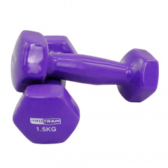 Protrain 1.5 кг. HC4005-1,5 из каталога виниловых гантелей в Саратове по цене 850 ₽
