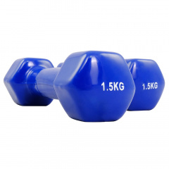 Protrain TA-2103-1,5 (пара) из каталога виниловых гантелей в Саратове по цене 1110 ₽