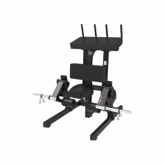 UltraGym UG-714 из каталога тренажеров на свободных весах в Саратове по цене 127080 ₽