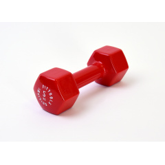 Original FitTools 5 кг (Цвет - красный) из каталога виниловых гантелей в Саратове по цене 1530 ₽