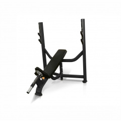 UltraGym UG-CL105 наклонная из каталога силовых скамей в Саратове по цене 133199 ₽