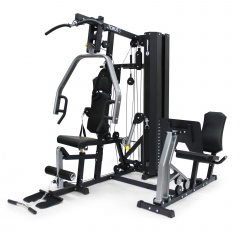 Horizon Home Gym Torus 5 из каталога мультистанций в Саратове по цене 262910 ₽