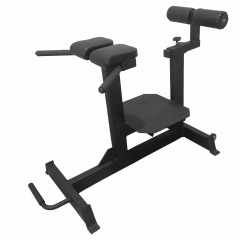 Bronze Gym AL-920 из каталога тренажеров для спины  в Саратове по цене 50790 ₽