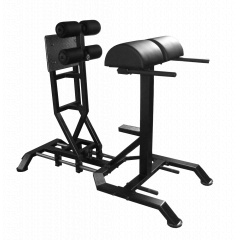 Bronze Gym GHD AL-921 из каталога тренажеров для спины  в Саратове по цене 107950 ₽