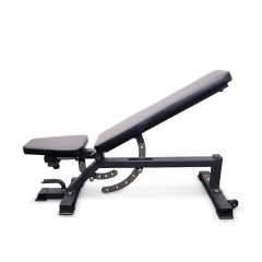 Protrain TC011 из каталога силовых скамей в Саратове по цене 57000 ₽