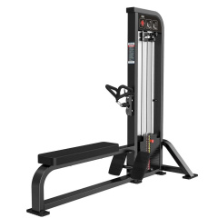 Protrain CP123 тяга нижнего блока из каталога дисков для штанги с посадочным диаметром 50 мм. в Саратове по цене 218500 ₽