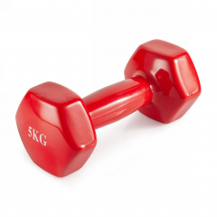 VictoryFit 5 кг. 1 шт. VF-DV050 из каталога виниловых гантелей в Саратове по цене 1450 ₽