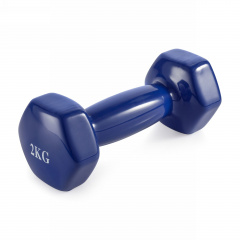 VictoryFit 2 кг. 1 шт. VF-DV020 из каталога виниловых гантелей в Саратове по цене 600 ₽