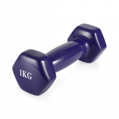 VictoryFit 1 кг. 1 шт. VF-DV010 из каталога виниловых гантелей в Саратове по цене 340 ₽