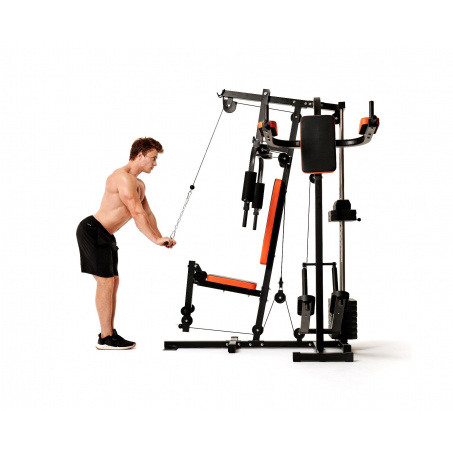 Рендер-30 для DFC HomeGym D7002-60 стек 60 кг