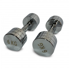 UnixFit PRO круглая 6 кг DBRND6PCE из каталога хромированных гантелей в Саратове по цене 2810 ₽