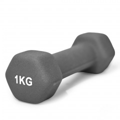 UnixFit 1 кг Grey DBNEO1GY из каталога неопреновых  гантелей в Саратове по цене 510 ₽