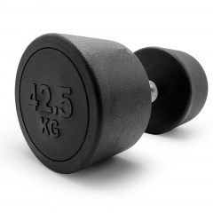 UnixFit PRO круглая 42,5 кг из каталога обрезиненных гантелей в Саратове по цене 13600 ₽