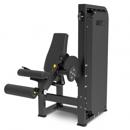 Рендер-1 для UnixFit Fit 100 PRO (UC-6727) Разгибание ног
