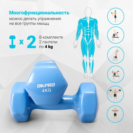 Рендер-1 для OKPRO OK1001A-4 4 кг. 2 шт.
