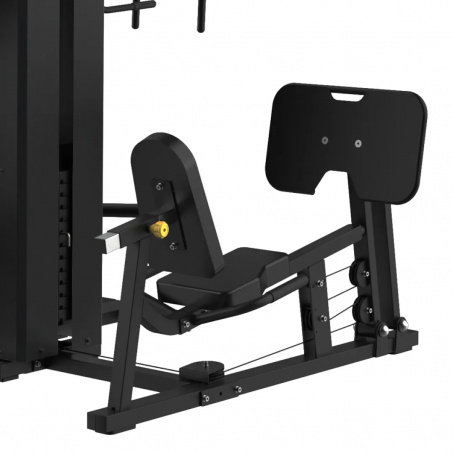 Рендер-5 для Bronze Gym Evolve QuadroPro