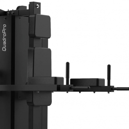 Рендер-4 для Bronze Gym Evolve QuadroPro