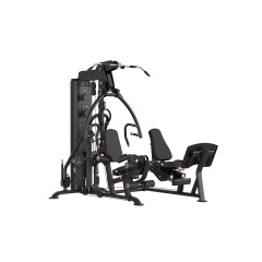 Hasttings Digger HG09+HG09-LP с жимом ногами из каталога мультистанций в Саратове по цене 668600 ₽