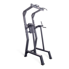 Protrain HC5019 из каталога тренажеров с собственным весом  в Саратове по цене 94520 ₽