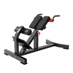 Protrain PP111 из каталога тренажеров для спины  в Саратове по цене 68680 ₽