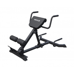 DFC MAXXUS GSMX-600417-00019-0001 из каталога тренажеров для спины  в Саратове по цене 21990 ₽