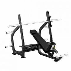 Bronze Gym RAVE RE56 из каталога скамей со стойкой в Саратове по цене 139990 ₽