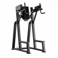 Bronze Gym RAVE RE59 из каталога тренажеров с собственным весом  в Саратове по цене 84150 ₽