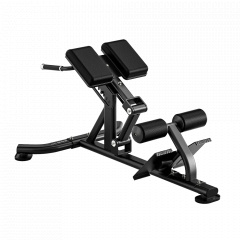 Bronze Gym RAVE RE52 из каталога тренажеров для спины  в Саратове по цене 91990 ₽