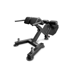Bronze Gym PARTNER ML-917 из каталога тренажеров для спины  в Саратове по цене 65990 ₽