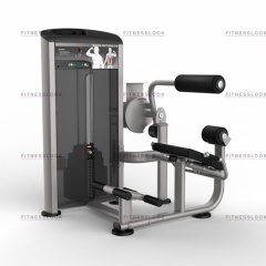 AeroFit Impulse Elite IE9532 - разгибание спины из каталога грузоблочных тренажеров в Саратове по цене 220320 ₽