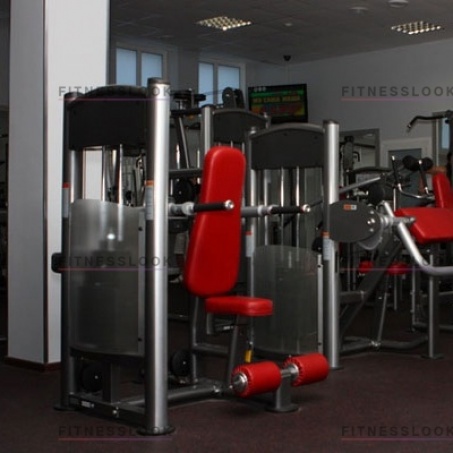 Рендер-1 для AeroFit IT9317 - трицепс сидя