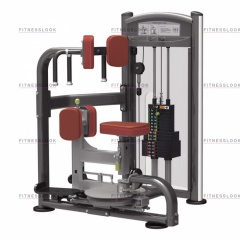 AeroFit IT9318 - вращение торса из каталога грузоблочных тренажеров в Саратове по цене 229320 ₽