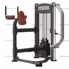 AeroFit IT9326 - ягодичные мышцы из каталога грузоблочных тренажеров в Саратове по цене 155640 ₽